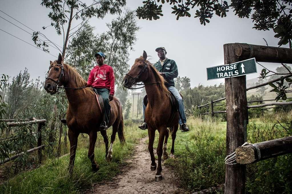 Hotel First Group Qwantani Harrismith Einrichtungen foto